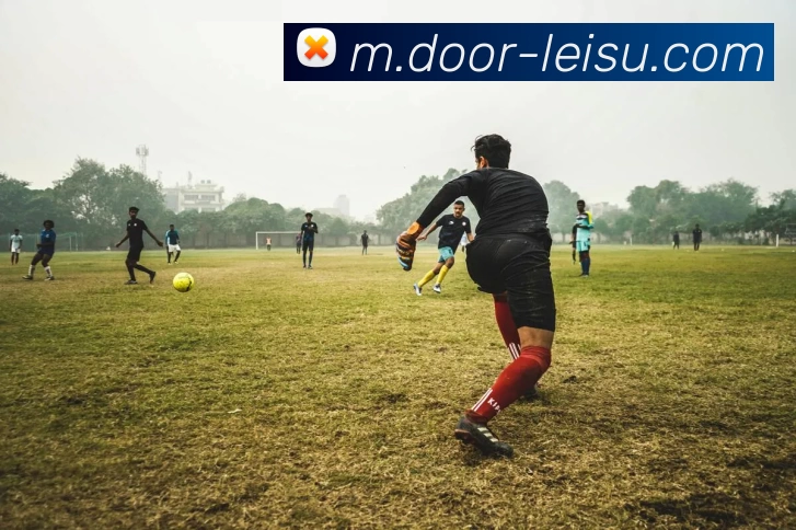 雷速体育服务体系